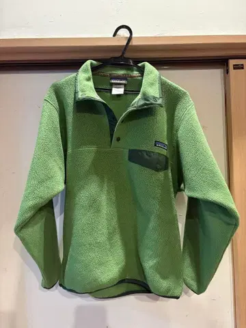 Patagonia 스냅T 그린
