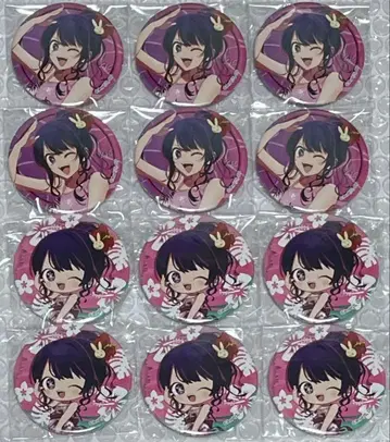 최애의 아이 스위츠 파라다이스 스이파라 트레이딩 캔뱃지 아이