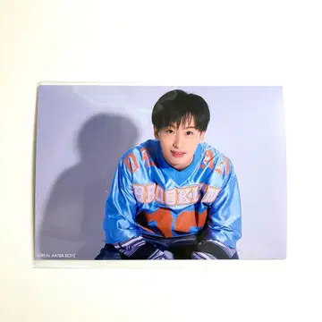 용 용탄 랜덤 브로마이드 란브로 2025