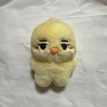 enhypen 니키 ni-ki 봉제 인형 올림라