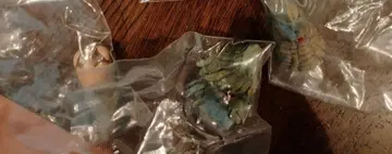 제일복권 괴수 초대전 vol.2 F상 괴수 두상 3개 세트