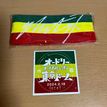 새상품 오드리 올 나이트 니폰 도쿄돔 헤어밴드 스티커