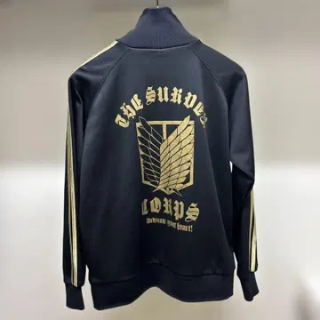 cospa 진격의 거인 조사병단 저지