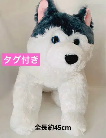 축 늘어지는 복슬복슬 시베리안 허스키 봉제 인형