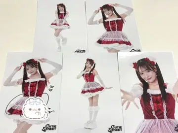 후루사와 리사 토크포트 브로마이드 2024년 크리스마스 의상 사인 포함