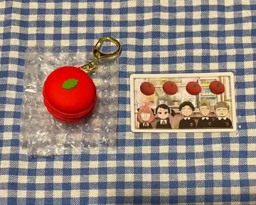 SPY x FAMILY USJ 콜렉터블 마카롱