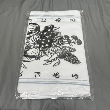 겐지부 조소 윤리학의 권유 타월 코이즈미 히카루