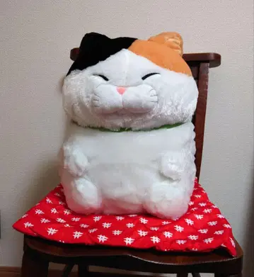 히게만주 정좌 2