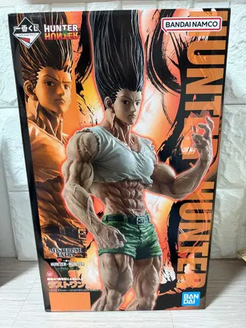 HUNTER x HUNTER 곤 라스트 원상 성장 ver