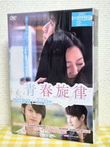 청춘 멜로디 DVD-BOX