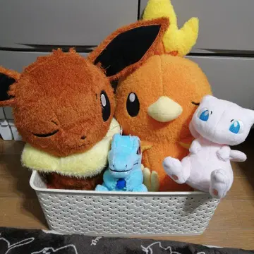 포켓몬 봉제 인형 세트