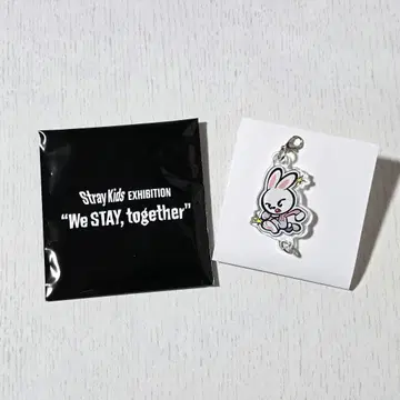 Stray Kids EXHIBITION 전시회 아크릴 키링 리비트