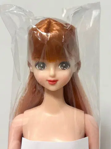 즐거운 인형 미라이 빨간립 리카짱 제니