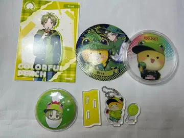 컬러풀 피치 시바 묶음 판매