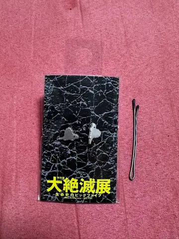 [ 디메트로돈 귀걸이 ] 국립과학박물관 [ 대멸종전 ]