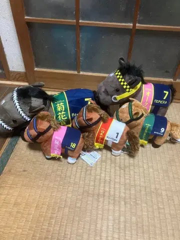 서러브레드 컬렉션 5체 세트