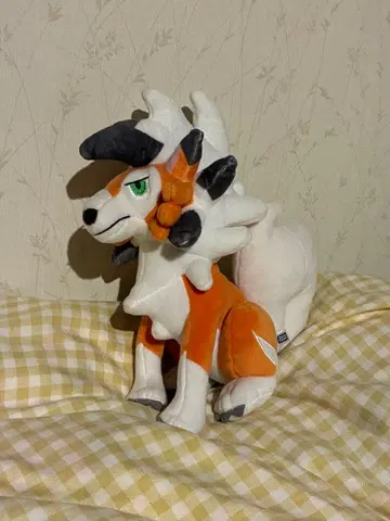 포켓몬 루가루암 (황혼의 모습) 봉제 인형 타카라토미