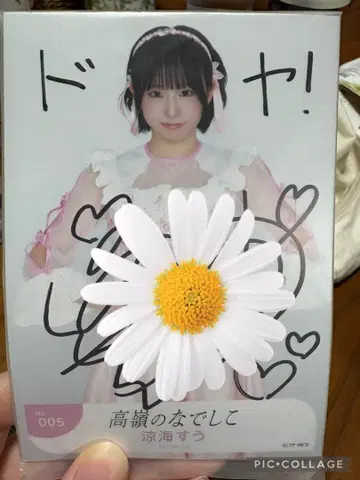 스즈미 스우 사인 포함 사진