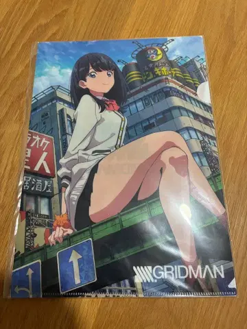 GRIDMAN 타카라다 릿카 클리어 파일 돈키