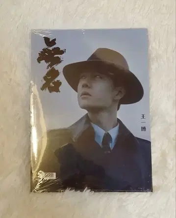 도서 무명 왕이보