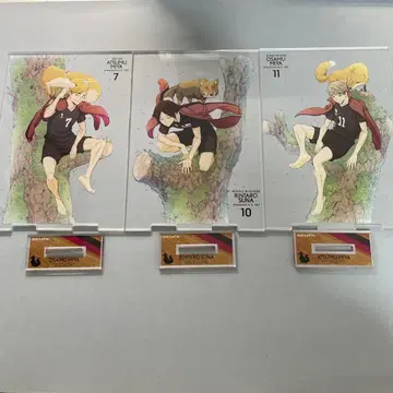 하이큐 아크릴 스탠드 COSPA 이나리자키 고교