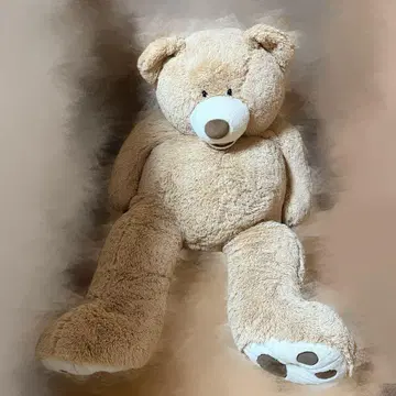 코스트코 봉제 인형 곰