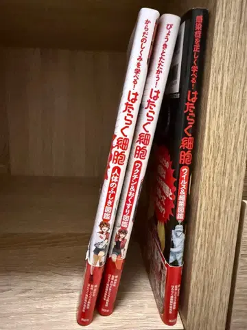 일하는 세포 바이러스 & 세균 도감 3권 세트