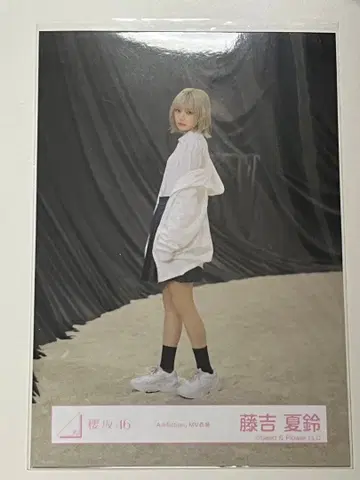 후지오카 카린 Addiction 히키