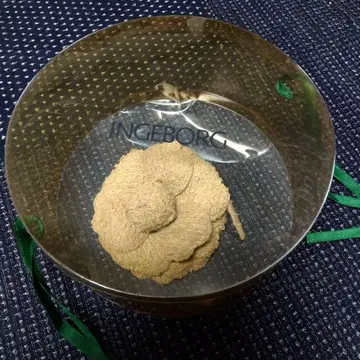 잉게보그 코사지 새상품 미사용