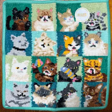 페이러 손수건 고양이