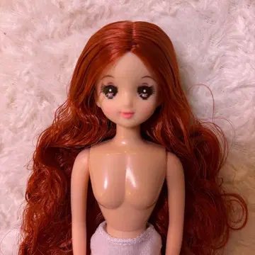 즐거운 인형 리카짱 캐슬 인형 본체 풀룬짱