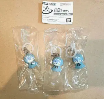 시쿠포니 메지루시 액세서리 3개 세트