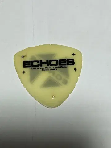 [ 레어 ] ECHOES 피크 당시 물품