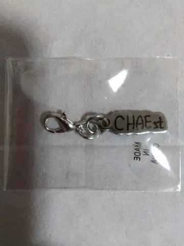 채종협 CHAEst 참