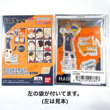 하이큐 히나타 쇼요 아크릴 스탠드 컬렉션