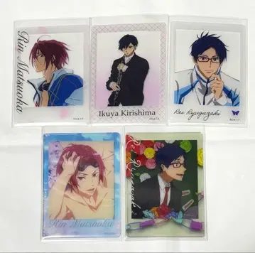 Free! 폴라로이드풍 클리어 카드 묶음 판매