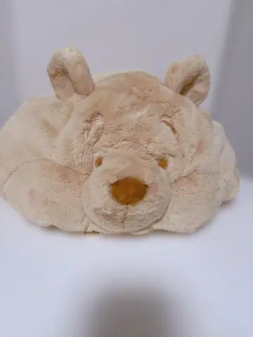 푸우 팬캡 디즈니