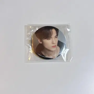 DFESTA VERNON SEVENTEEN 버논 세부치 배지