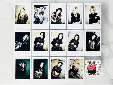 바그 러그 잇세이 츠바메 폴라로이드 스티커 세트