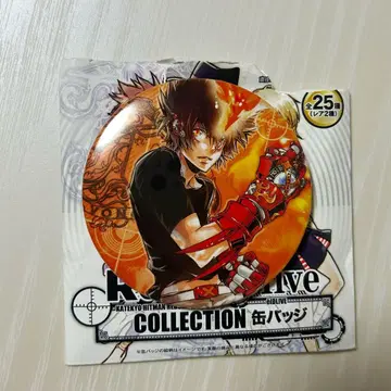 Katekyo Hitman Reborn! 사와다 츠나요시 캔뱃지