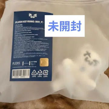 TWS 플러시 키링 투냥