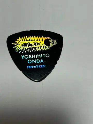 JUDY AND MARY  피크 당시물 FERNANDES