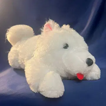 흐물흐물 사모예드군 엎드린 JB 사이즈 봉제 인형 사모군 미사용 새상품