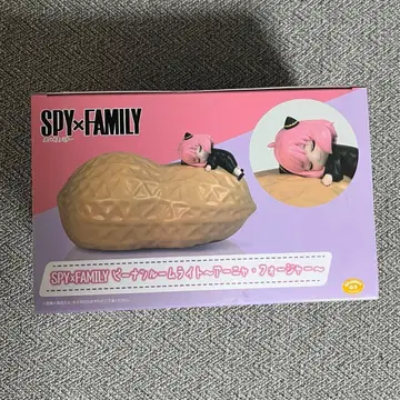 스파이 패밀리 룸 라이트