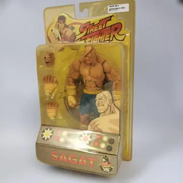미개봉 스트리트 파이터 사가트 피규어 SOTA Toys