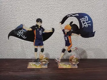 하이큐!! 현수막 아크릴 스탠드 히나타 카게야마