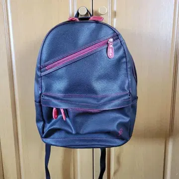 츠쿠시 여학원 중학교 고등학교 통학용 지정 백팩 백