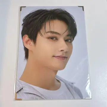 SEVENTEEN CARAT LAND 프리미엄 사진 준