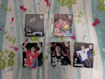 배구 남자 일본 대표 가챠가챠 스티커