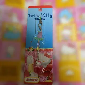 지역 한정 키티 스트랩